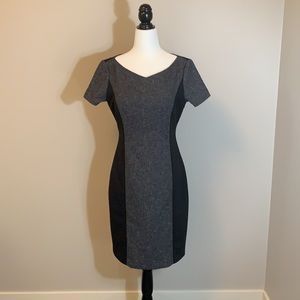 🎉Host pick🎉Tahari Ladies Dress (NWOT)